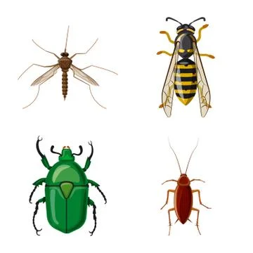 Vector design of insect and fly icon. Collection of insect and element vector イラスト素材