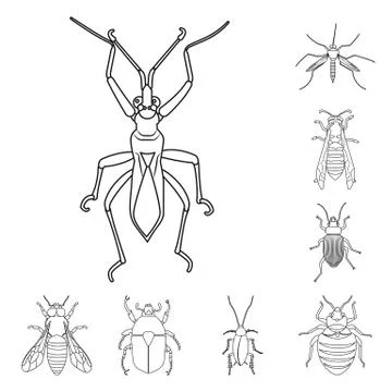 Vector design of insect and fly icon. Set of insect and element vector icon for Illustrazione stock