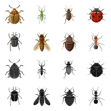 Vector design of insect and fly icon. Collection of insect and element vector Ilustración de archivo