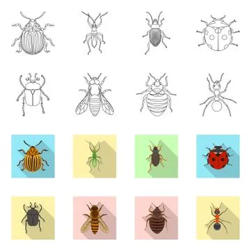 Vector design of insect and fly icon. Collection of insect and element vector Ilustración de archivo
