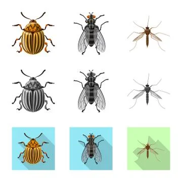 Vector design of insect and fly symbol. Collection of insect and element vector Stock-Illustration