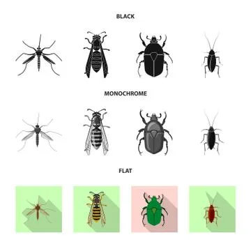 Vector design of insect and fly logo. Set of insect and element vector icon for 스톡 일러스트