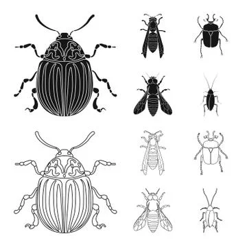 Vector design of insect and fly sign. Set of insect and element stock vector Stock Illustration