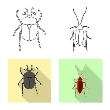 Vector design of insect and fly sign. Set of insect and element stock symbol for Stock Illustration