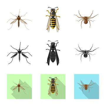 Vector design of insect and fly icon. Collection of insect and element stock Stock Illustration