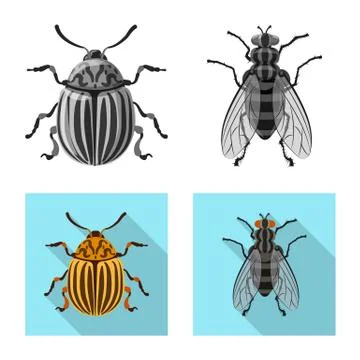 Vector design of insect and fly symbol. Set of insect and element vector icon Stock Illustration