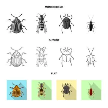 Vector design of insect and fly icon. Collection of insect and element stock Illustrazione stock