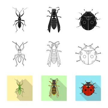 Vector design of insect and fly logo. Collection of insect and element stock Stock Illustration