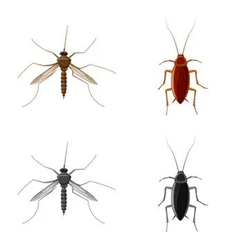Vector design of insect and fly icon. Collection of insect and element vector Stock Illustration