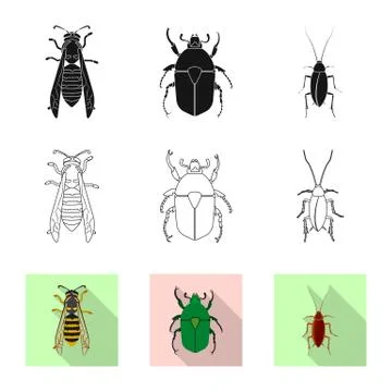 Vector design of insect and fly symbol. Set of insect and element stock symbol Illustrazione stock