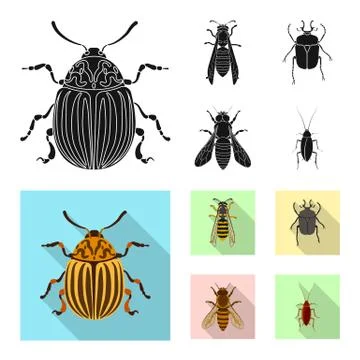 Vector design of insect and fly sign. Collection of insect and element vector Ilustración de archivo