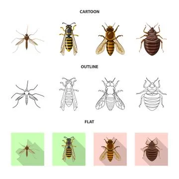 Vector design of insect and fly sign. Set of insect and element stock symbol for Stock-Illustration
