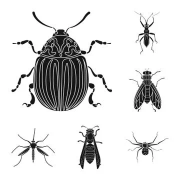Vector design of insect and fly logo. Set of insect and element stock symbol for Stock Illustration