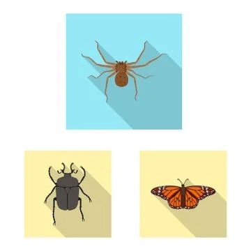 Vector design of insect and fly symbol. Set of insect and element stock symbol Stock Illustration