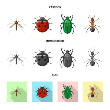 Vector design of insect and fly icon. Set of insect and element vector icon for Illustrazione stock