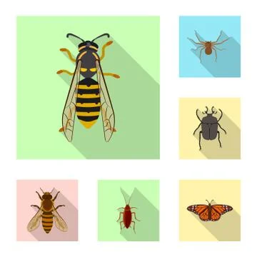 Vector design of insect and fly symbol. Collection of insect and element stock Stock Illustration