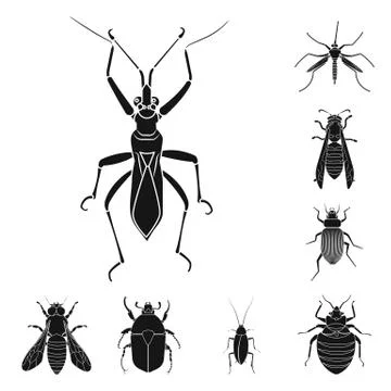 Vector design of insect and fly logo. Collection of insect and element vector イラスト素材