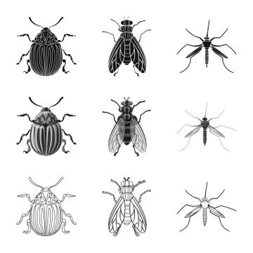 Vector design of insect and fly icon. Collection of insect and element vector Illustrazione stock