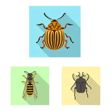 Vector design of insect and fly sign. Set of insect and element stock vector Stock Illustration