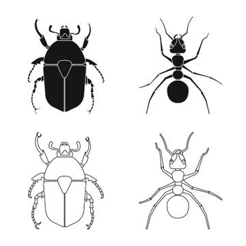 Vector design of insect and fly symbol. Collection of insect and element vector 스톡 일러스트