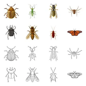 Vector design of insect and fly icon. Collection of insect and element stock Illustrazione stock