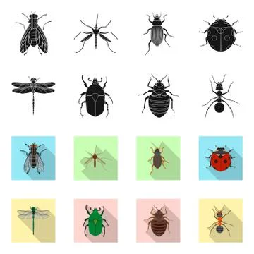 Vector design of insect and fly logo. Set of insect and element vector icon for Stock Illustration