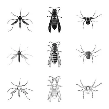 Vector design of insect and fly logo. Set of insect and element stock symbol for Stock Illustration