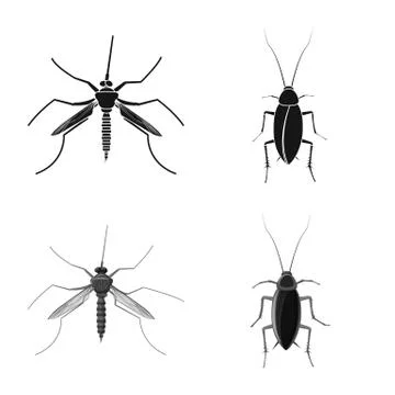 Vector design of insect and fly logo. Set of insect and element stock vector Stock Illustration