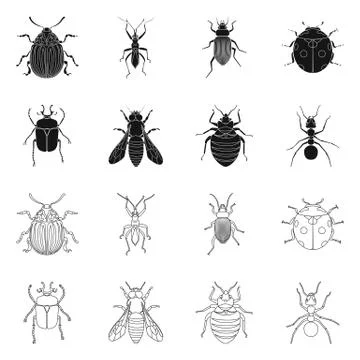 Vector design of insect and fly icon. Set of insect and element vector icon for Ilustración de archivo