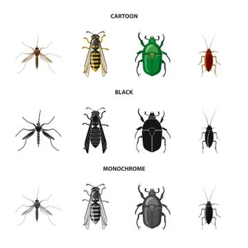 Vector design of insect and fly symbol. Set of insect and element stock symbol Stock Illustration