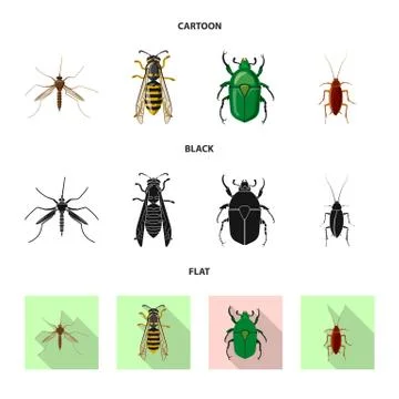 Vector design of insect and fly logo. Collection of insect and element vector Stock Illustration