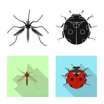 Vector design of insect and fly symbol. Collection of insect and element stock Stock-Illustration