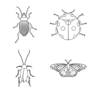 Vector design of insect and fly symbol. Set of insect and element stock vector Illustrazione stock