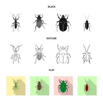 Vector design of insect and fly sign. Collection of insect and element stock Stock Illustration