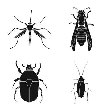 Vector design of insect and fly symbol. Collection of insect and element vector Stock-Illustration