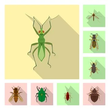 Vector design of insect and fly icon. Set of insect and element vector icon for Illustrazione stock