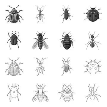 Vector design of insect and fly logo. Set of insect and element stock vector Ilustración de archivo