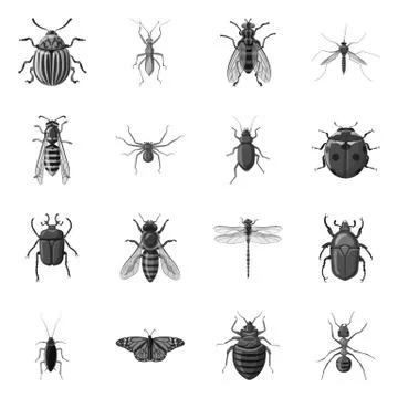 Vector design of insect and fly symbol. Collection of insect and element stock Stock-Illustration