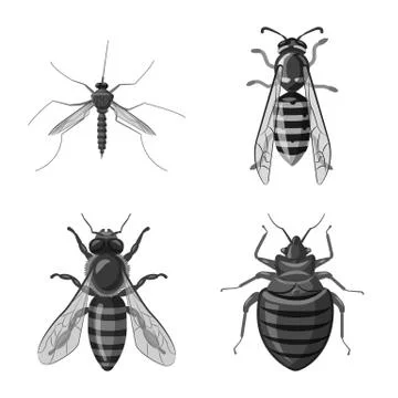 Vector design of insect and fly symbol. Collection of insect and element stock Stock-Illustration