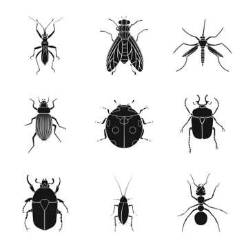Vector design of insect and fly symbol. Set of insect and element vector icon Stock Illustration