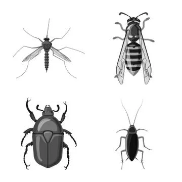 Vector design of insect and fly icon. Collection of insect and element stock 스톡 일러스트