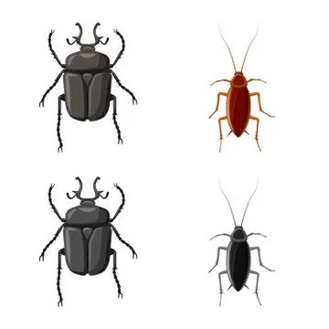 Vector design of insect and fly symbol. Collection of insect and element stock Stock Illustration