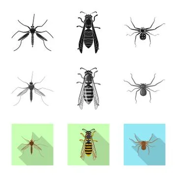 Vector design of insect and fly icon. Set of insect and element stock vector Illustrazione stock