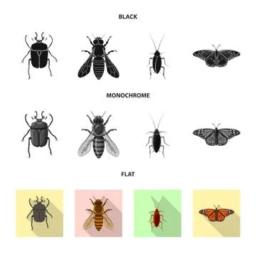 Vector design of insect and fly sign. Collection of insect and element stock Stock Illustration