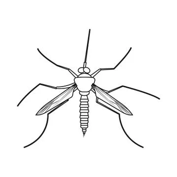 Vector design of insect and fly sign. Collection of insect and element stock Stock Illustration