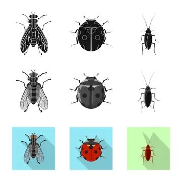 Vector design of insect and fly symbol. Set of insect and element stock vector Stock Illustration