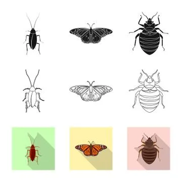Vector design of insect and fly sign. Collection of insect and element stock Stock Illustration