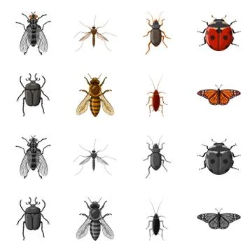 Vector design of insect and fly symbol. Collection of insect and element stock Illustrazione stock