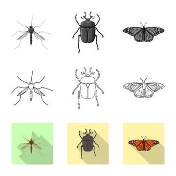 Vector design of insect and fly sign. Set of insect and element stock symbol for イラスト素材