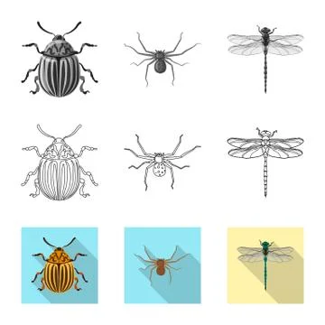 Vector design of insect and fly sign. Set of insect and element vector icon for Stock Illustration